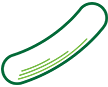 Avacado