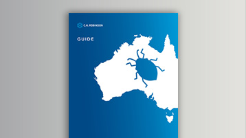 Brown marmorated stink bug graphic