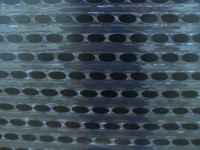 Close up of appropriate wrap for BMSB