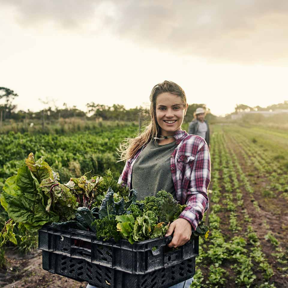 A grower with a basket of produce in a crate.
