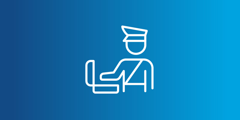 customs icon
