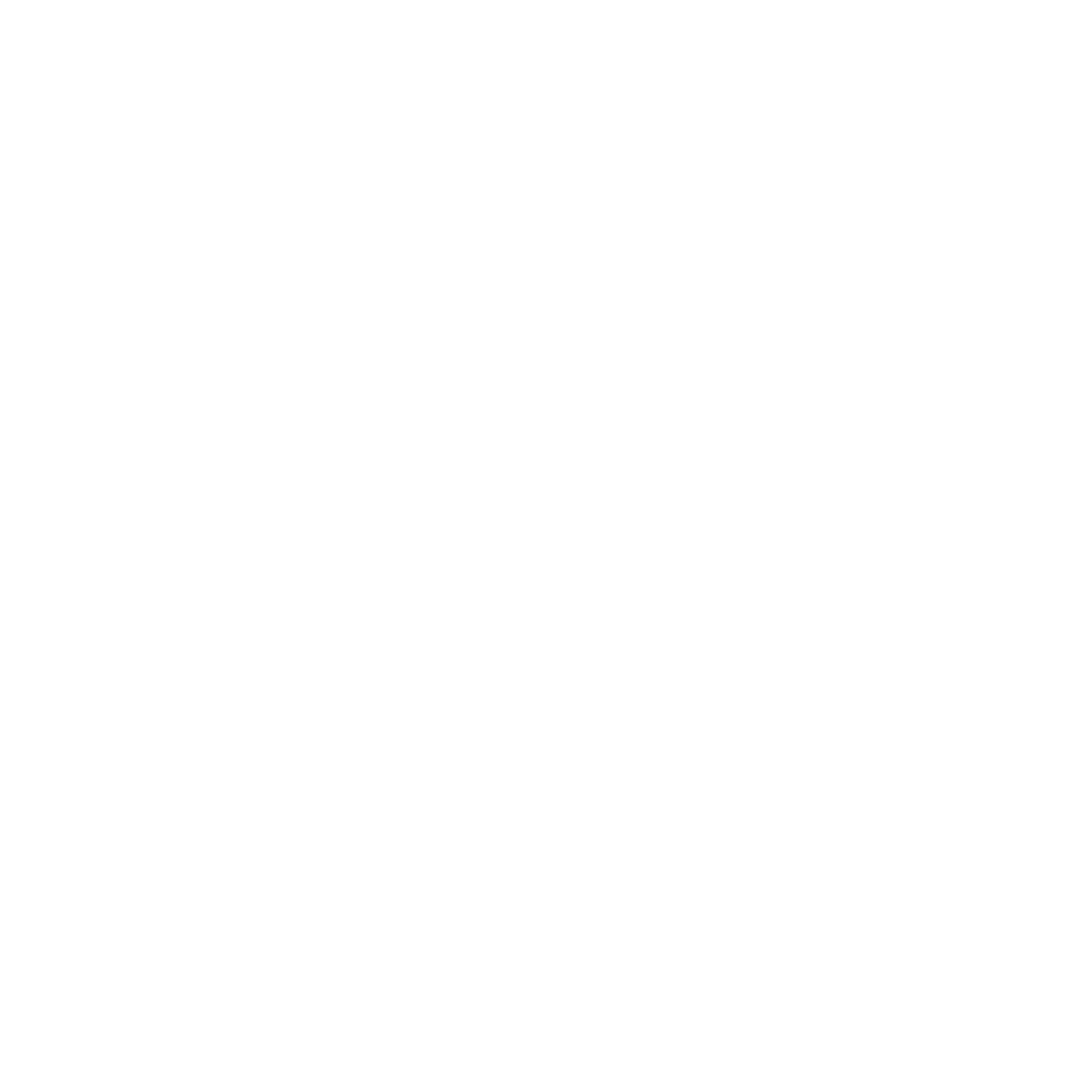Globe icon