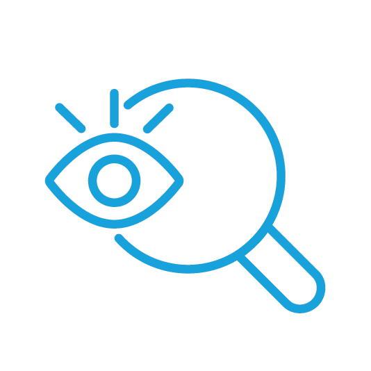 Fase 1 Immagine: Scoperta